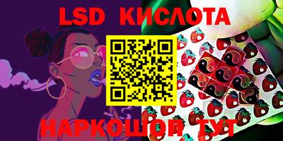 амф Дмитров
