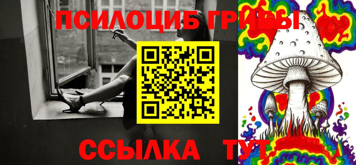 Новочеркасск  Псилоцибиновые грибы GOLDEN TEACHER  Вход с VPN 
